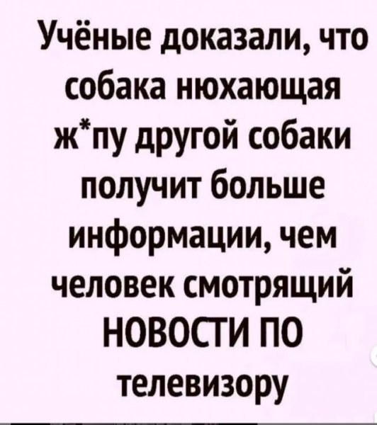 file_99502278
