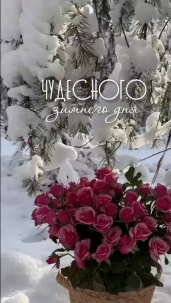 IMG 20231201 214348