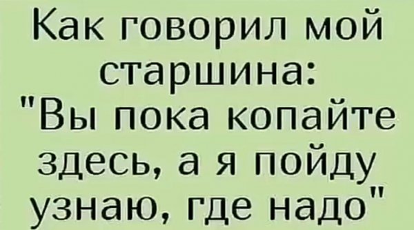 file_100959491