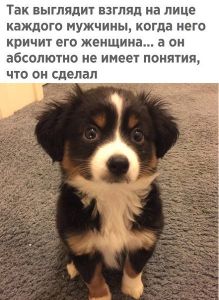 IMG 20180821 200913