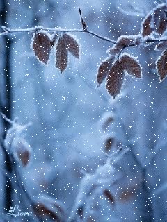 file_59251248