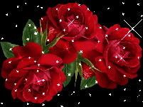 file_498855