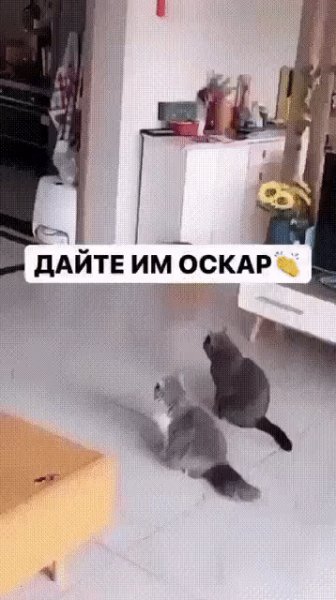 IMG 20221120 013820