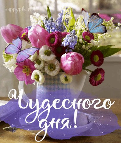 file_93304785
