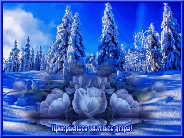 Прекрасного зимнего утра!