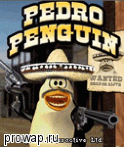pedro penguin