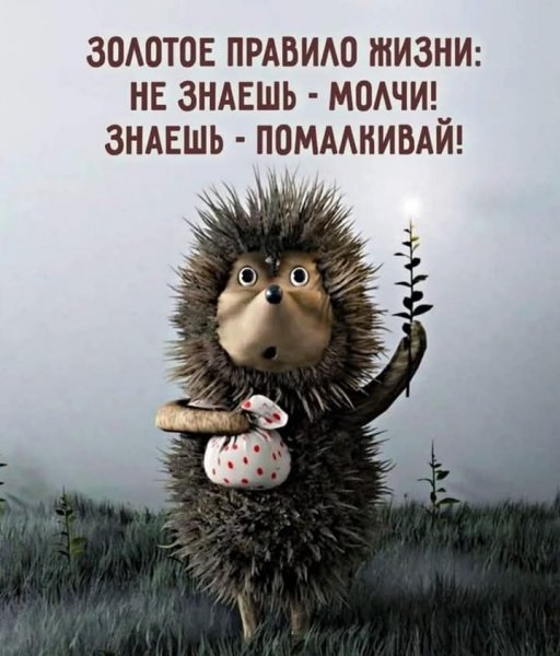 FB IMG 1750433250833