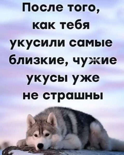 FB IMG 1667500913100