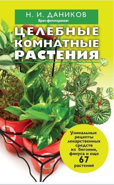 Целебные комнатные растения