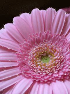 file_76366959