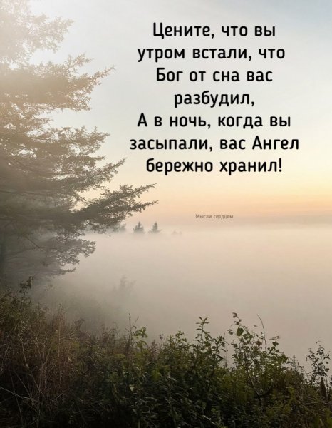 Wz91DR5R6eY