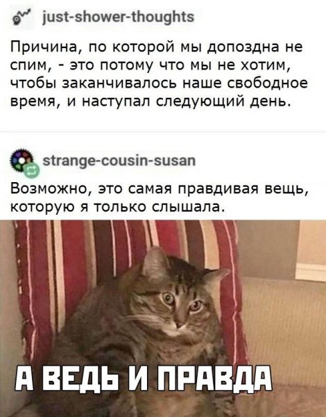 IMG 20200106 234800 938