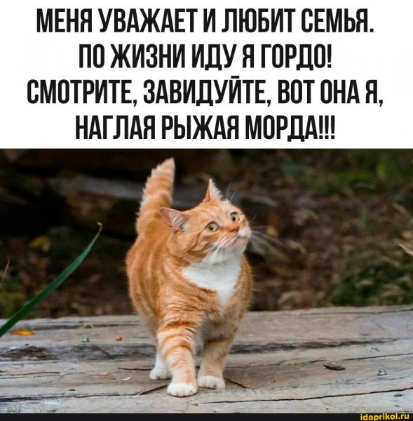 f5d22762a64c158b25969d3a6af1065e4657df 1