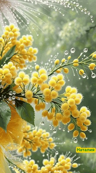 file_102381342