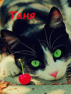 Таня
