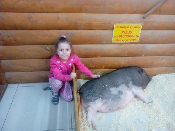 IMG 20250820 142542