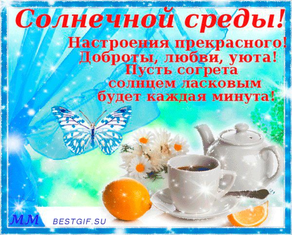 среда 041012