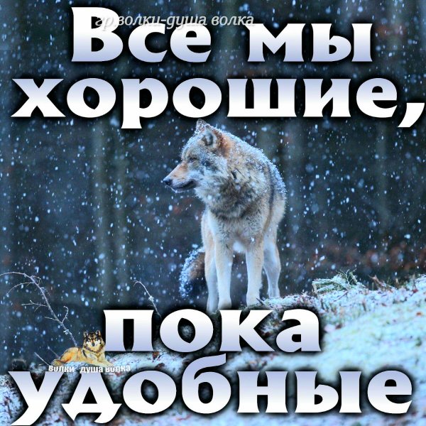 Пока удобные