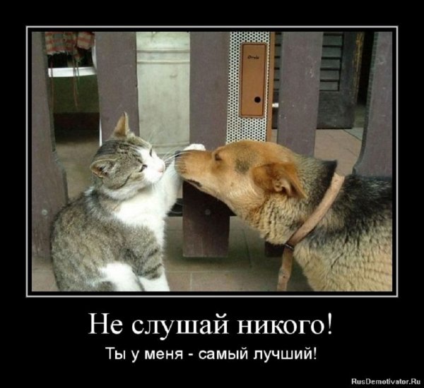 Ты у меня самый лучший