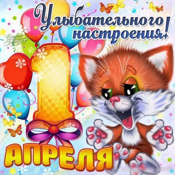 IMG 20190402 013555