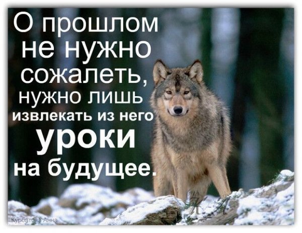IMG 20250228 092044