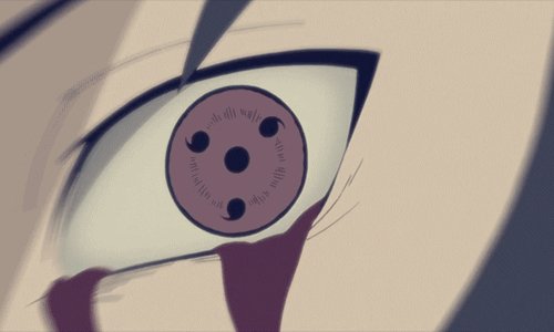 tumblr mtosr0qWcK1s9zb41o6 500