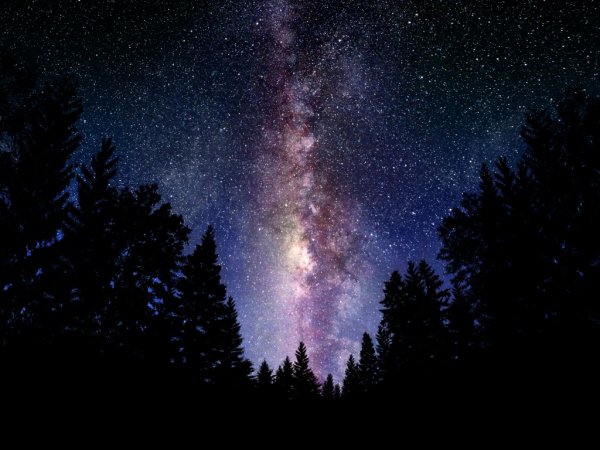 The Galaxy Wallpaper