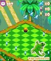 Tropical Madnes