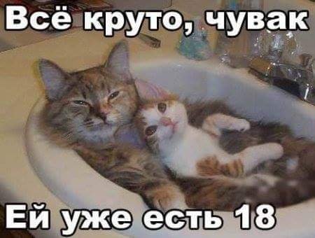IMG 7043813984865