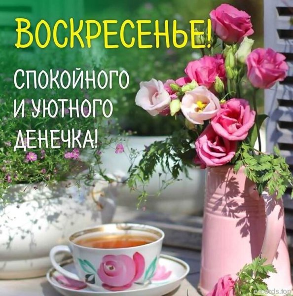 IMG 20260823 211440
