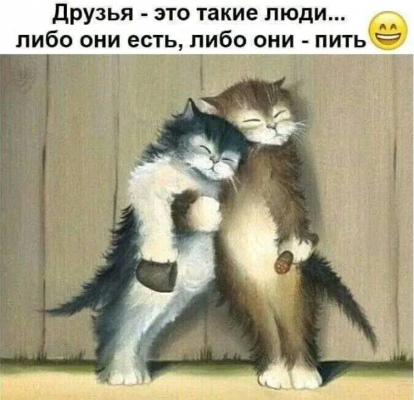 file_103248714