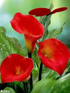 file_50453193