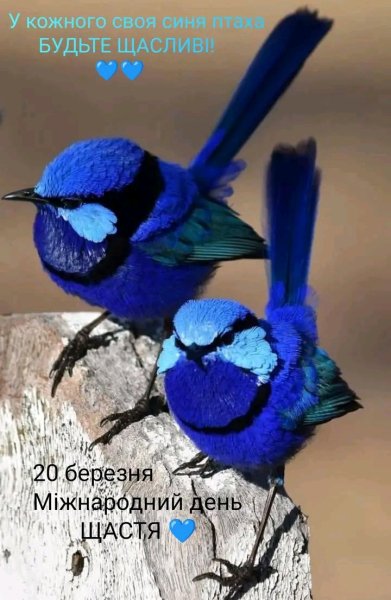 file_99315867