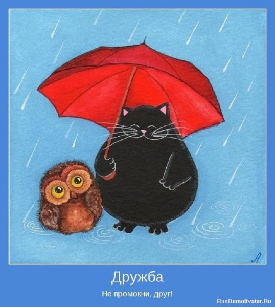 ДРУЖБА