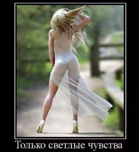 светлая)