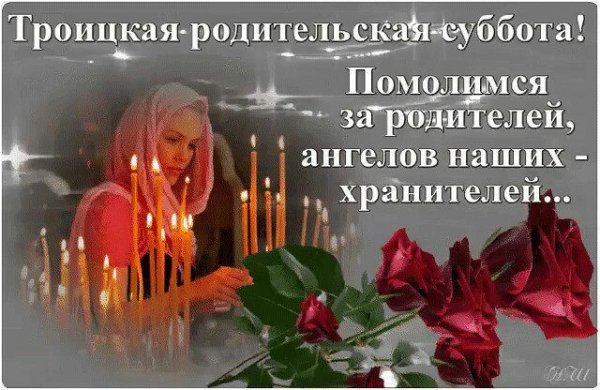 image (15)