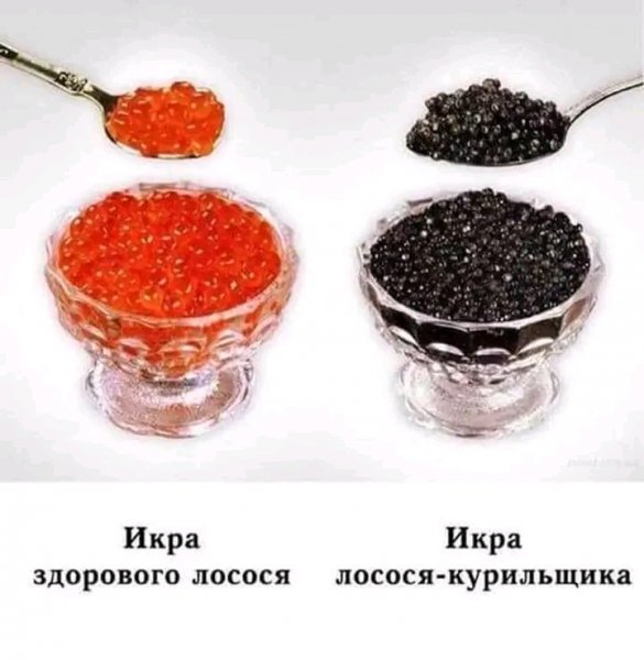 file_103303617
