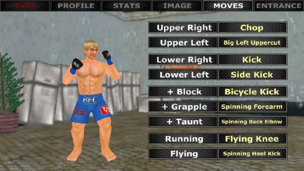 Weekend Warriors MMA v.1.001