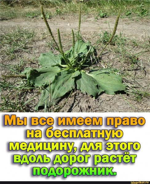 IMG 20210213 214954