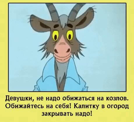 IMG 20221025 110606