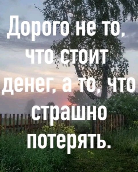 file_95952625