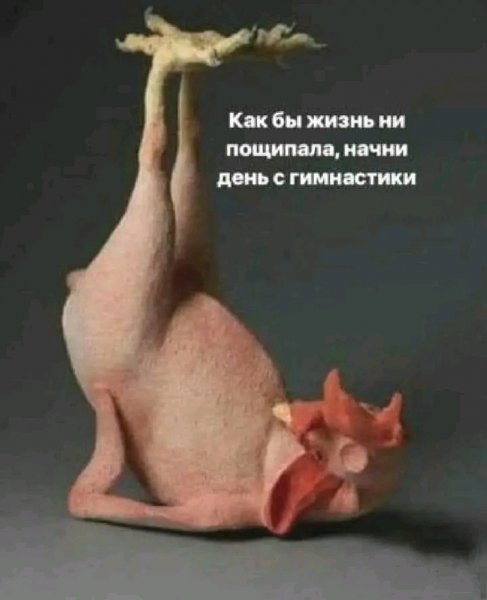 file_103380056