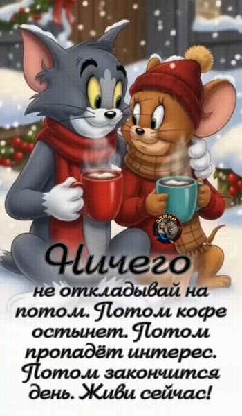 IMG 20260106 035622