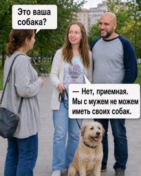 file_103268730