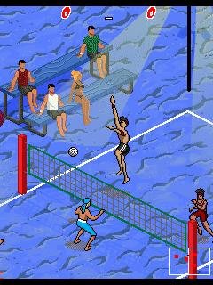 beach volleyball