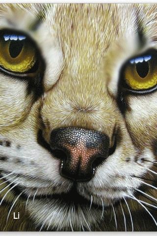 file_66552037