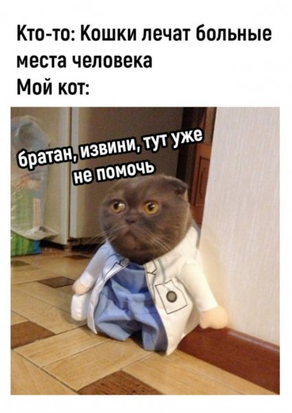 file_101270588