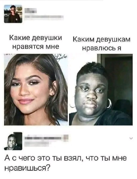 file_103416344