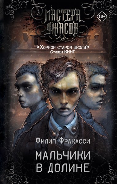 Фракасси Филип. Мальчики в долине