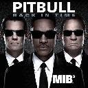 Pitbull-Back In Time PlayNSkillz Remix-s